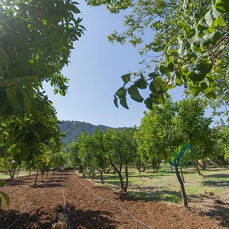 Tre Torri マッティナータ